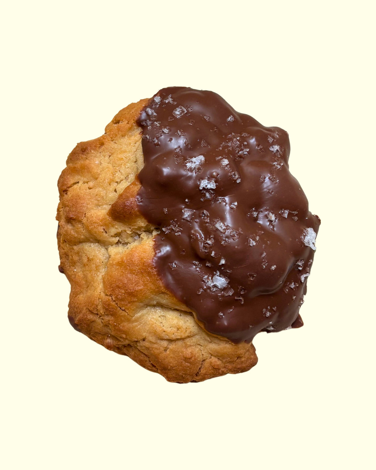 Salted Peanut Butter Chocolate Dipped