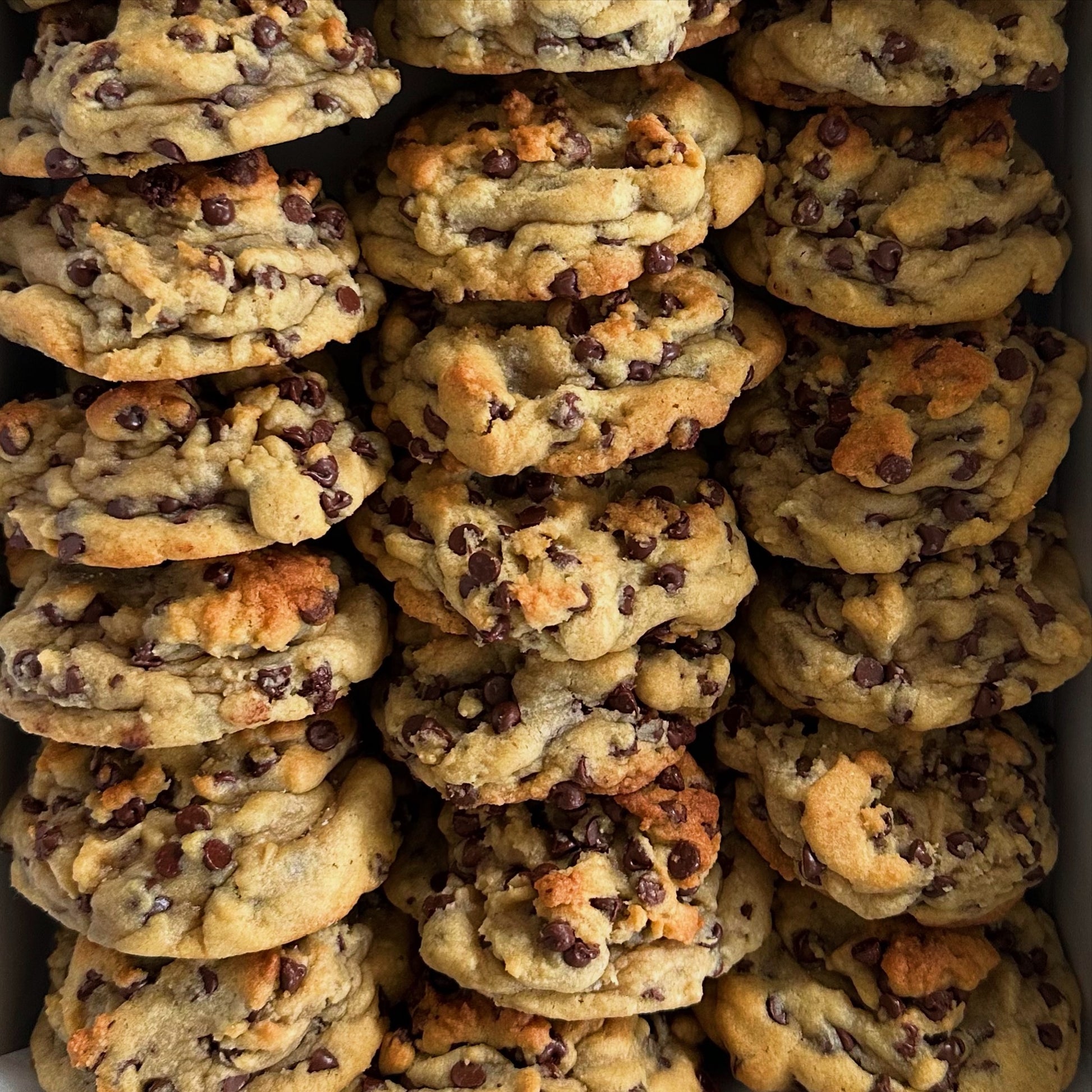 OG Chocolate Chip Lover – The Sunday Crumb Houston bakery