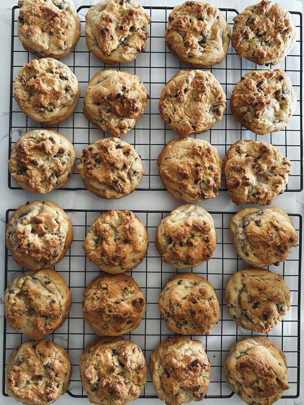 OG Chocolate Chip Lover – The Sunday Crumb Houston bakery